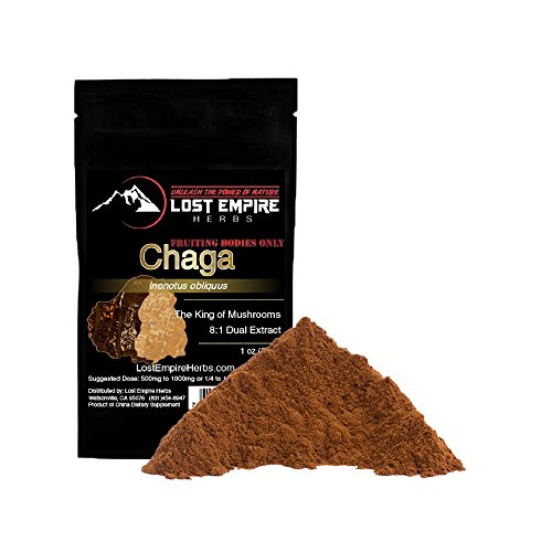 Chaga Mushroom Powder - Pure Organic Extract - Supports Immune and Liver Health, Maintains Healthy Blood Sugar Level - (30 g)