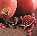Brookside Dark Chocolate Candy, Pomegranate Flavor, 7 Ounce
