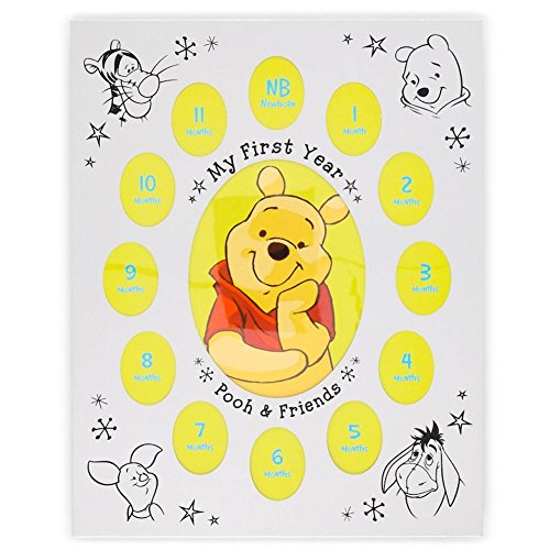 Disney Baby Winnie the Pooh & Friends " My First Year " Picture Photo Frame