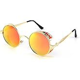 FEISEDY Retro Steampunk Sunglasses for Men Women, Round Metal Frame Gothic Vintage Style B2820