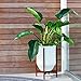 Fox & Fern Tall 10″ Planter – Fits Perfectly in Every 10″ Plant Stand – Hand-Made of Polystone – Matte White – Indoor and Outdoorthumb 3