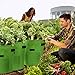 NELOVE 3 Packs 7 Gallon Potato Grow Bags, Heavy Duty Non-Woven Aeration Fabric Pots with Flap and Handles w/ 3 Plant Labelsthumb 4