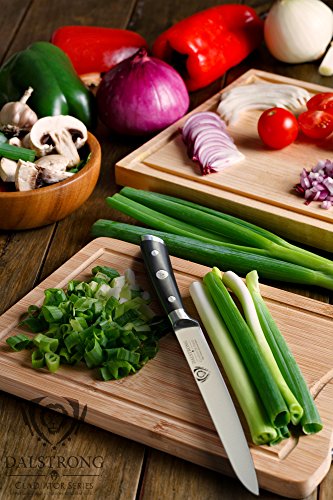 4 DALSTRONG+Utility+Knife+Gladiator+German