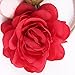 DDazzling Flower Baby and Newborn Girls Headband Floral Crown Photo Props (Red)