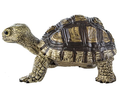 Safari Ltd  Incredible Creatures Tortoise