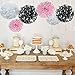 Paper Flower Tissue Pom Poms Baby Shower Party Supplies (silver,pink,white,18pc)