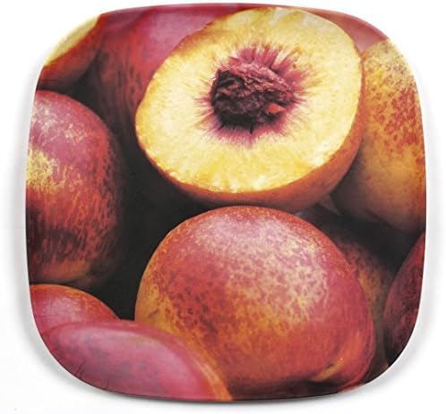 Bamboozle 11" Elegant Dinnerware, Bamboo Dinner Plates (4 Plates) (Peaches Print)
