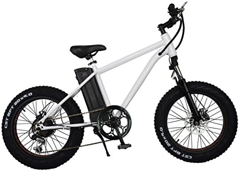 New Cruiser 20 Inch 250-300W Motor 6 Speed Electric Fat Tire Off Road LED Light Mountain Bike Bicycle E-Bike With 36V/10A Lithium Battery (White)