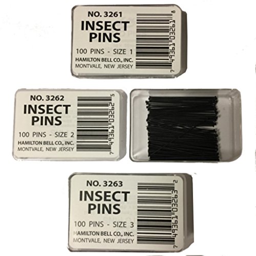 Black Steel Insect Pins, Collection of Sizes 1, 2, and 3