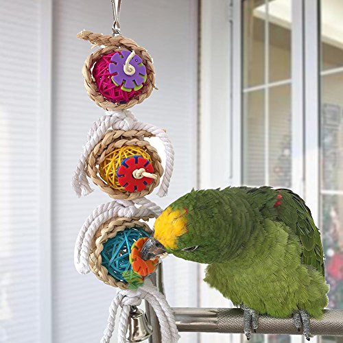 NPLE--Pet Bird Parrot Swing Cage Toy Chew Bites for Parakeet Cockatiel Cockatoo Conure