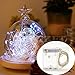 BINZET 10ft 30 LEDs Super Bright Cool White Durable Silver Wire String Lights 3xAA Battery Powered Flexible String Lights 3M For Decorative/Holiday Project