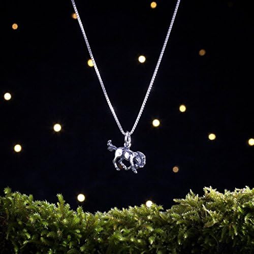 Sterling Silver Wild Pony - Small, 3D Double Sided - (Charm, Necklace or Earrings)