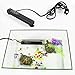 25W Betta Fish Tank Heater, Smart Thermostat Submersible Small Mini Aquarium Heater, Anti-Explosion/Energy-efficient Water Temp Controller Easy to Use for 1-5 Gallon - Gift with 2 Artificial Plants