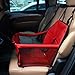 Dr.Memory Pet Car Seat cover Carrier Airline Approved For Dogs Cat Puppy Small Pets Travel Cage L Size Weight up to 15lbs