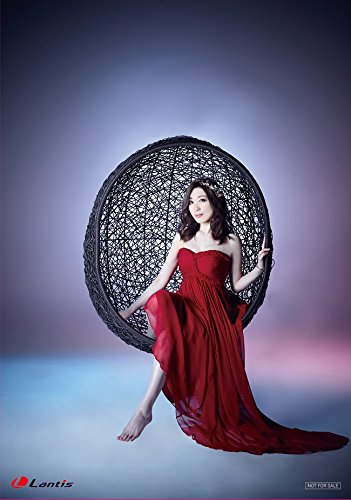 Amazon Co Jp限定 Tvアニメ レガリア The Three Sacred Stars Ed主題歌 Patria 通常盤 L判ブロマイド Minamiアーティスト写真 付 Amazon Com Music