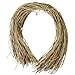 Wrapables 50 Gift Tags/Kraft Hang Tags with Free Cut Strings for Gifts, Crafts & Price Tags - Original Tag