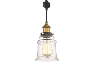 Kiven H-Type Track Lighting Pendants with Clear Glass Shade,1-Light