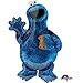 Sesame Street New Cookie Monsters 2nd Birthday Party Supplies and Balloon Decorations