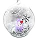 Lighted Angel Christmas Ball Ornament - Message 'I Love You to The Moon and Back' - Inside an Angel Holding a Red Heart - LED Light Up - 4-Hour Timer Included - 4