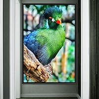 Framed Canvas Wall Art Single Bird Birds Expressive Farmhouse/Country Multicolor Photography Portrait Single - 16x24 inches