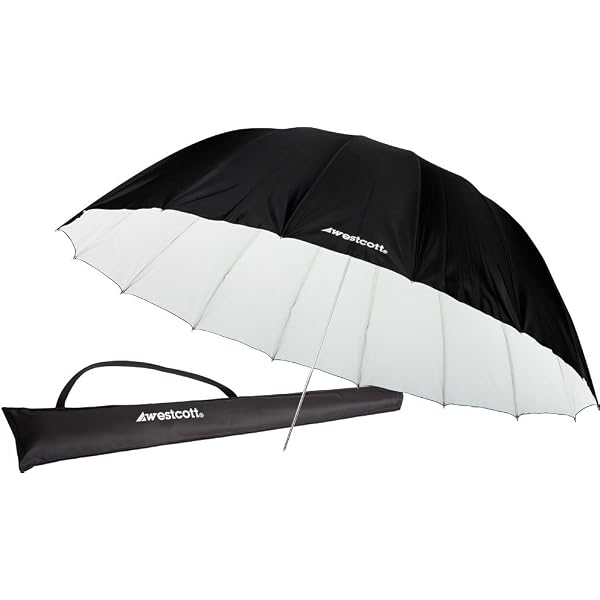 Parapluie Classique avec Poignée Pommeau Argent - Parapluie Classique