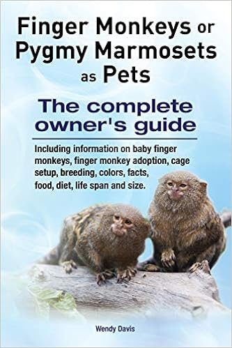 Buy Finger Monkeys Or Pygmy Marmosets As Pets Including Information On Baby Finger Monkeys Finger Monkey Adoption Cage Setup Breeding Colors Facts Food Diet Life Span And Size Book Online At Low