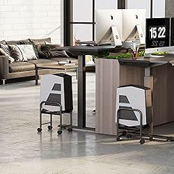 Eureka Ergonomic Computer Cart Height Adjustable