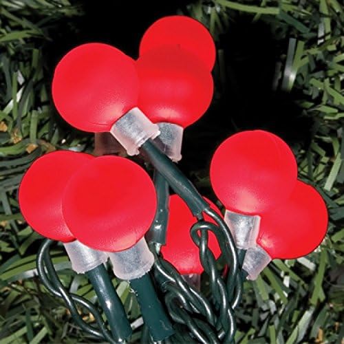 Advanced Noma 100 LED Berry Popsicle Outdoor Christmas Lights - Red [NP2092] (EcoEpitome® Packaging)