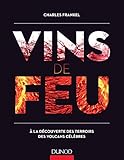 Vins de feu : A la découverte des terroirs des volcans célèbres by