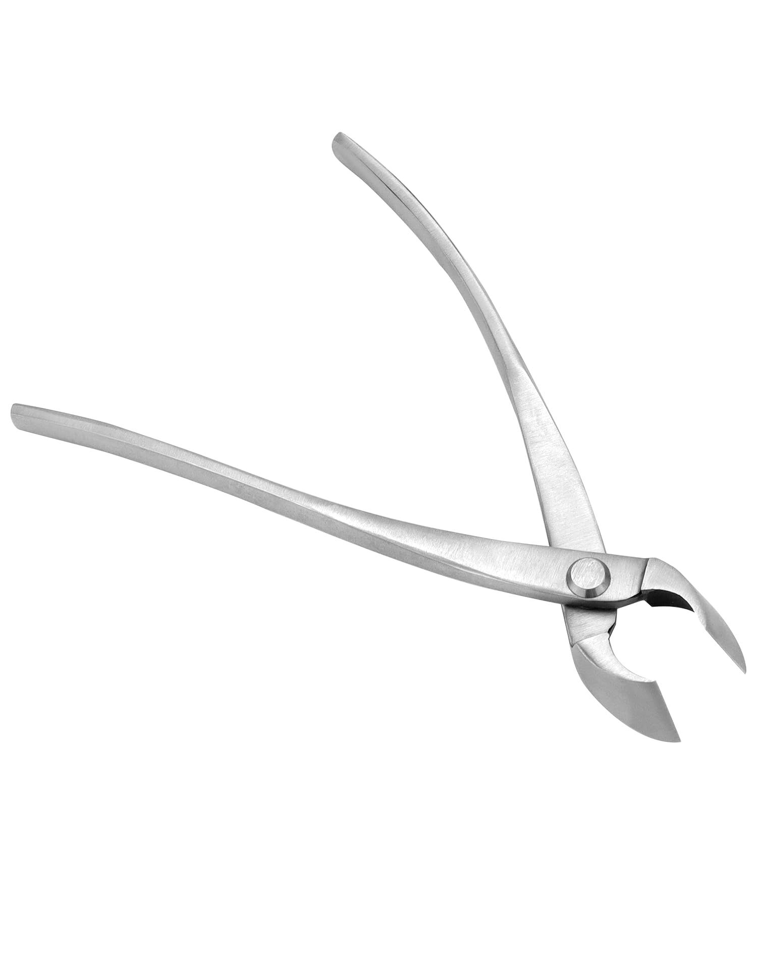 QWORK® Stainless Steel Concave Cutter - 8 Inch - Bonsai Tools for Pruning Bonsai Fork Branches (210mm)