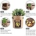 Potato Grow Bags 3 Pack 10 Gallon Garden Planting Bag Breathable Nonwoven Velcro Window Design Planter Bagthumb 4