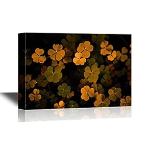 Clovers Leaves Premium
