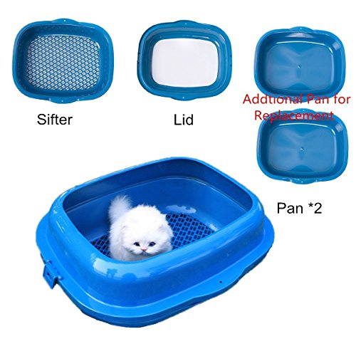 Top 10 Best Cat Litter Boxes For Senior Cats Top Reviews No Place