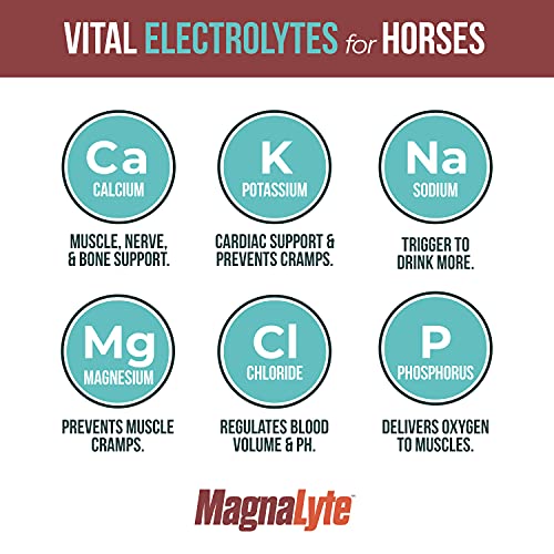 MagnaLyte Loose Salt and Electrolytes for Horses by Eagle Equine Mineral sea Salt, Trace