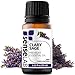 SenseLAB Clary Sage Essential Oil - Relaxation - 100% Pure Extract Therapeutic Grade Clary Sage Oil for Aromatherapy Diffuser (10 ml)