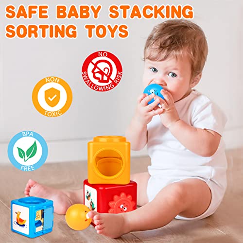 Baby Toys to 12 Months Montessori Toys for Year Old Boys