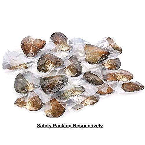 5 Pieces+Freshwater+Cultured+Oysters+Packaging