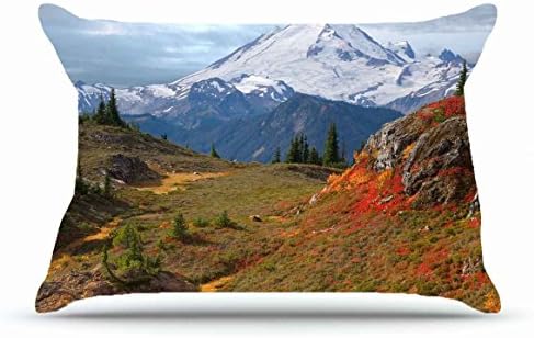 Jshcsj Queen Pillowcase Size 20 x 30 Inches Cotton Pillowcases Decorative Pillow Cover Case with Hidden Zipper Decor Cushion Covers - Nature mountains fogs vegetation images fur trees autumn For Indoo