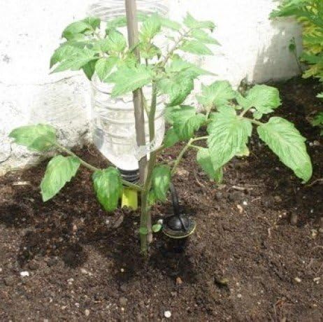 Iriso. 4 Soportes de riego por goteo: Amazon.es: Jardín