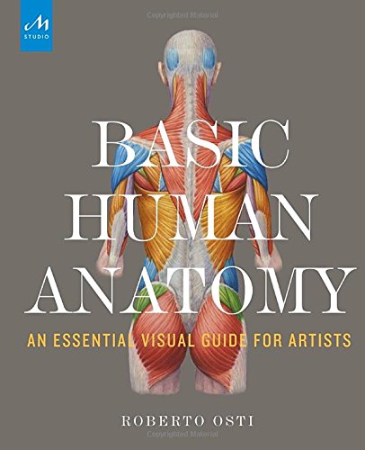 Basic Human Anatomy: An Essential Visual Guide for Artists