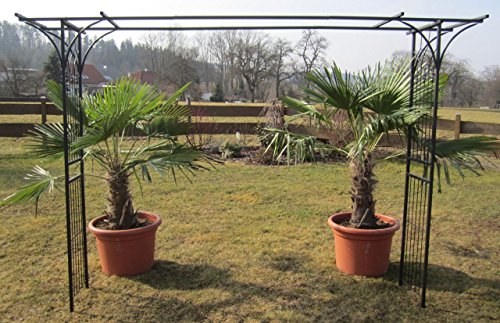 ALEOS. Eleganter XXL Rosenbogen Rankhilfe Pergola aus Metall schwarz Modell 5040 – Bild 3
