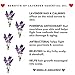Full Body Oil Moisturizing Oil For Normal to Dry Skin Face Hair Cuticle Scalp Nails. Essential Oil, Coconut, Argan, Jojoba & Sweet Almond Oil Blend. 4oz (Lavender)