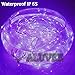 Aluvee Solar Rope String Light 33ft 100L 8 Modes Waterproof Outdoor LED Copper Wire Lights for Garden Decor Lamp Wedding Party Tree Xmas Halloween Holiday Decoration Lighting (Purple)