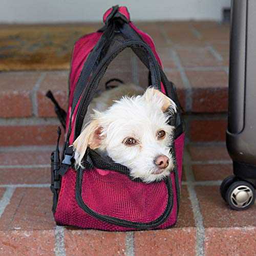 Airline Approved Pet Carrier SoftSided Carriers for Small Medium