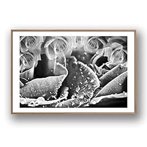 Framed for Living Room Bedroom Grey Rose Flowers for