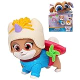 Aviator Keia Pals on a Mission Puppy Dog Pals 2.5