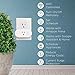 PowerBear Wifi Smart Plug [16A] Compatible with Alexa, Google Home & App