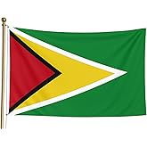 SUNRIBE Guyana Flag 3x5 FT – Vibrant Guyanese National Flag with Brass Grommets & Double Stitched Edges – 100% Polyester 68D, UV Fade Resistant – Perfect for Mashramani, Republic Day, Carnival, Independence, Parades, Outdoor & Indoor Décor