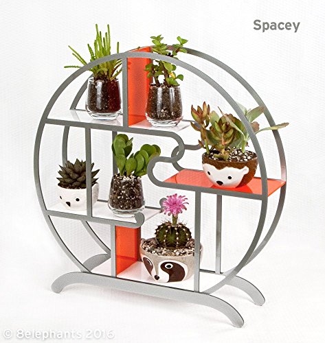 15" Round Curio Display Stand: Spacey (Silver, White &amp; Orange)