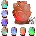 Hymilian Sea Salt Lamp - Himalayan Pink Rose Hand Carved Glow Rock Salt Lamps With Wood Base Included USB Electric Wire & Multi Color Changing LED Light - Mini Air Purifier For Office Home Hotel Yoga